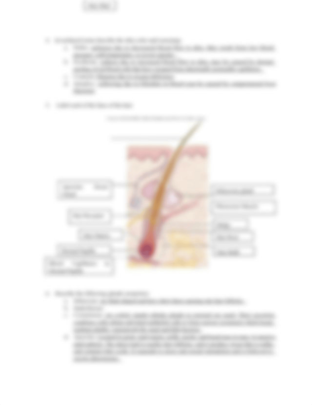 Chapter 6 Concept Check BIO211 completed 2.doc_dtzp6h53nux_page2