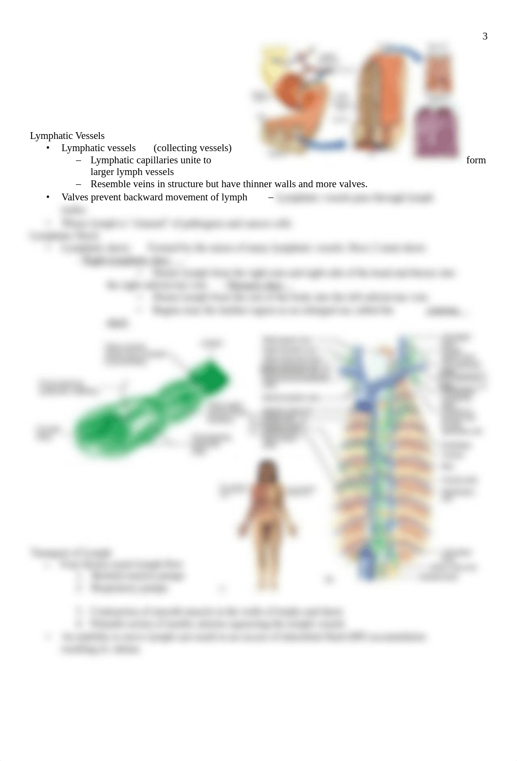 Lymphatic and Immune System with Vaccines.pdf.docx_dtzq1nsckq1_page3