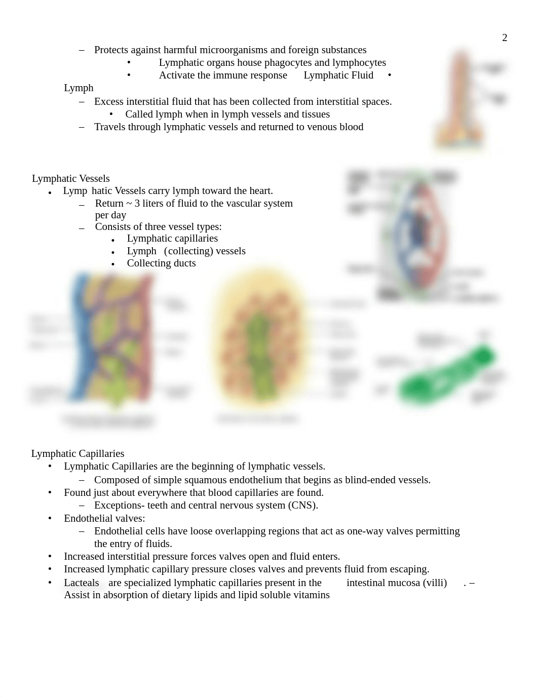 Lymphatic and Immune System with Vaccines.pdf.docx_dtzq1nsckq1_page2