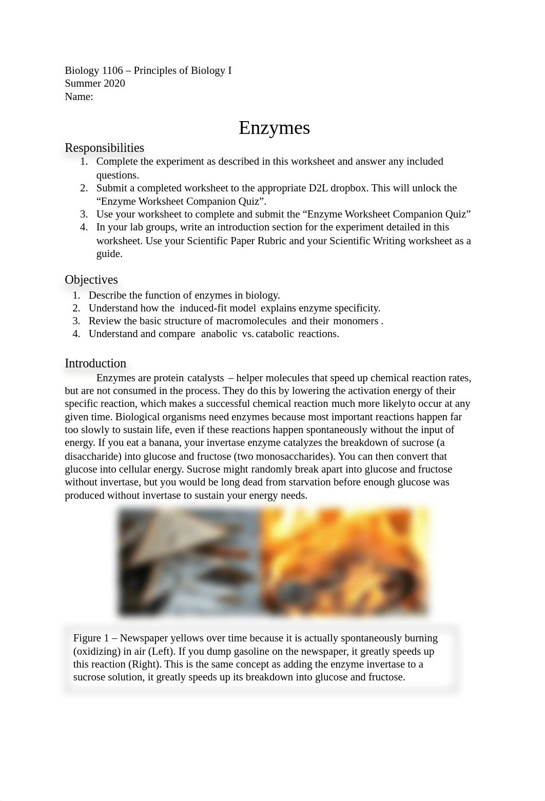 Lab 7 - Enzymes.docx_dtzq1ogm8e5_page1