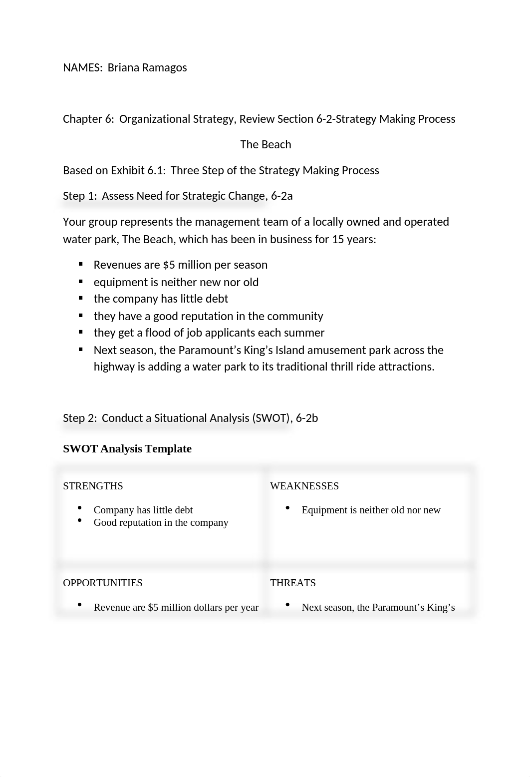 Ch 6 SWOT Analysis-2.docx_dtzt9ionxp6_page1