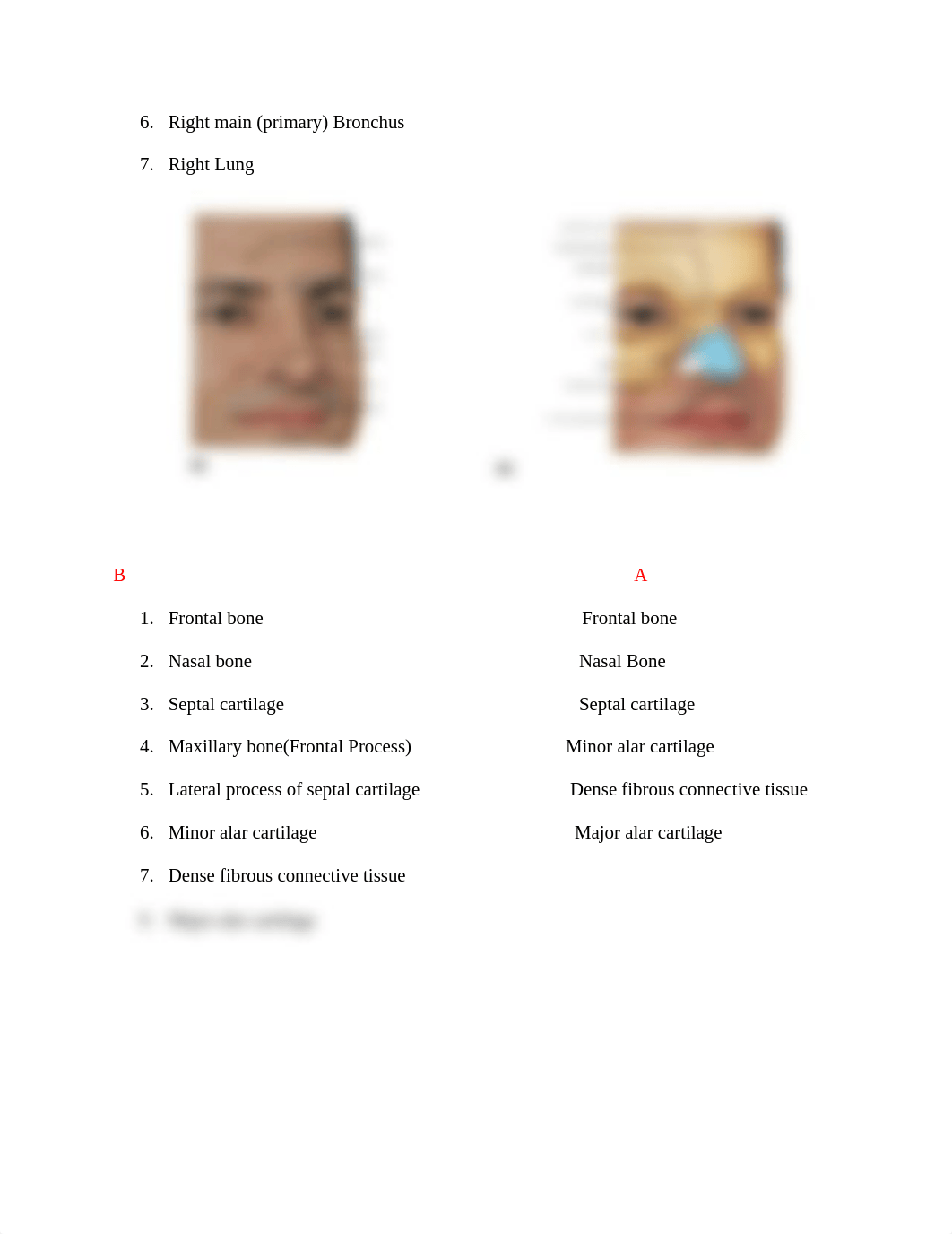 Lab_BIO_anatomy_and_Physiology_dtztn59coll_page2