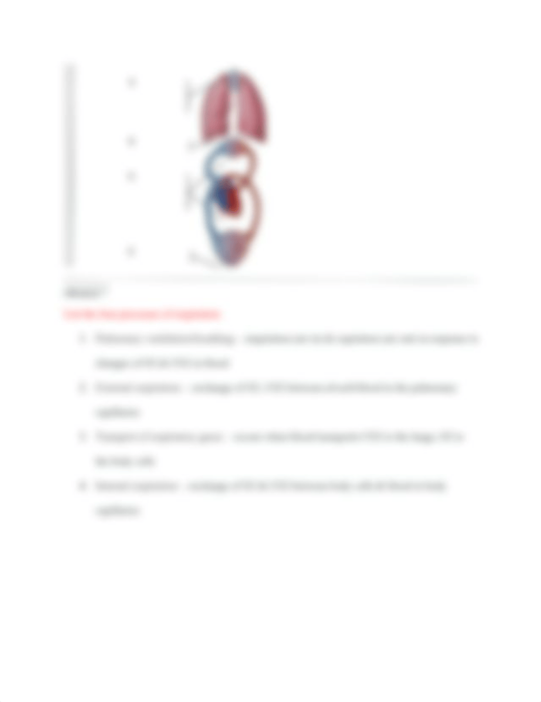 Lab_BIO_anatomy_and_Physiology_dtztn59coll_page3