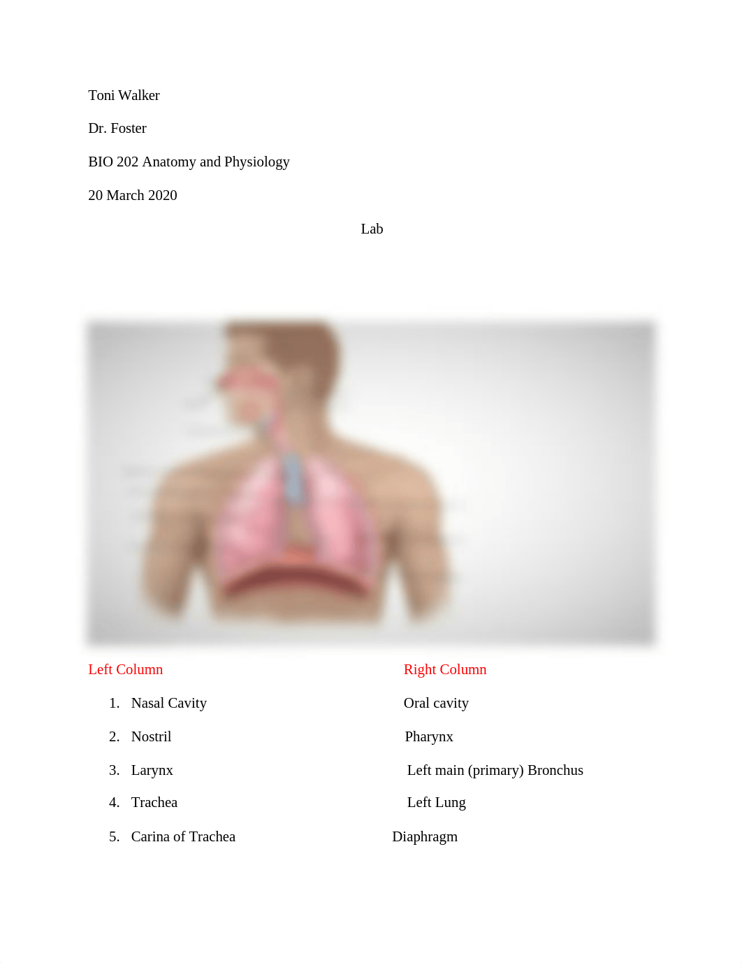 Lab_BIO_anatomy_and_Physiology_dtztn59coll_page1