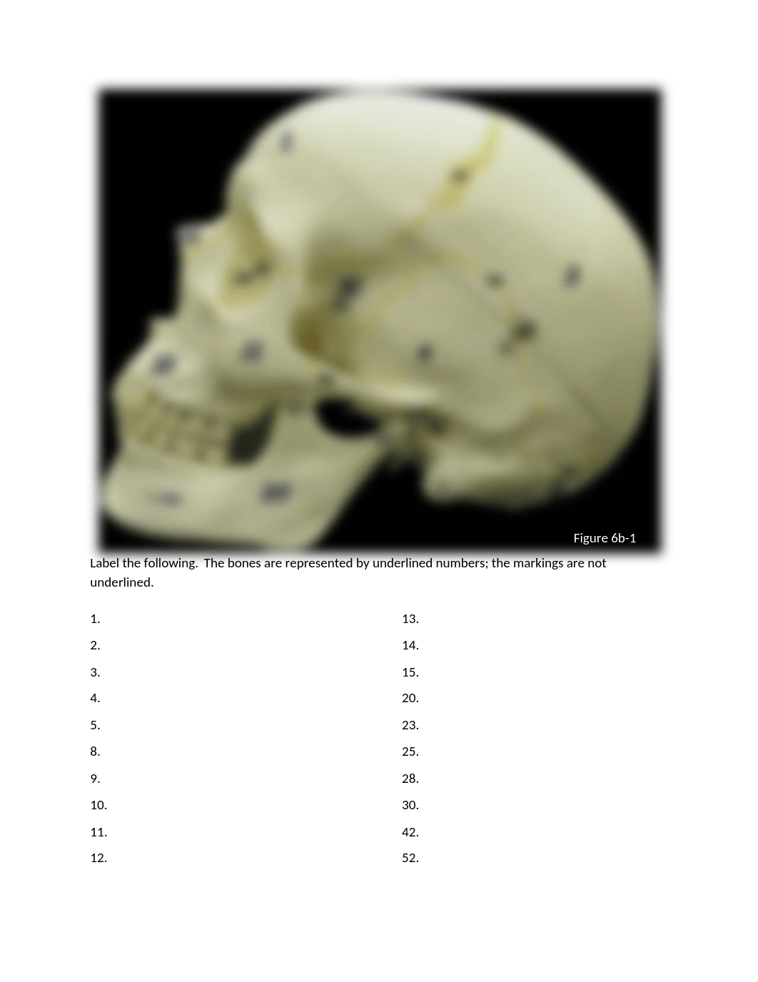 Lab 6b procedure.docx_dtzuyc9djx1_page2