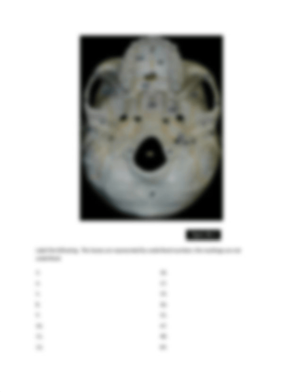 Lab 6b procedure.docx_dtzuyc9djx1_page4