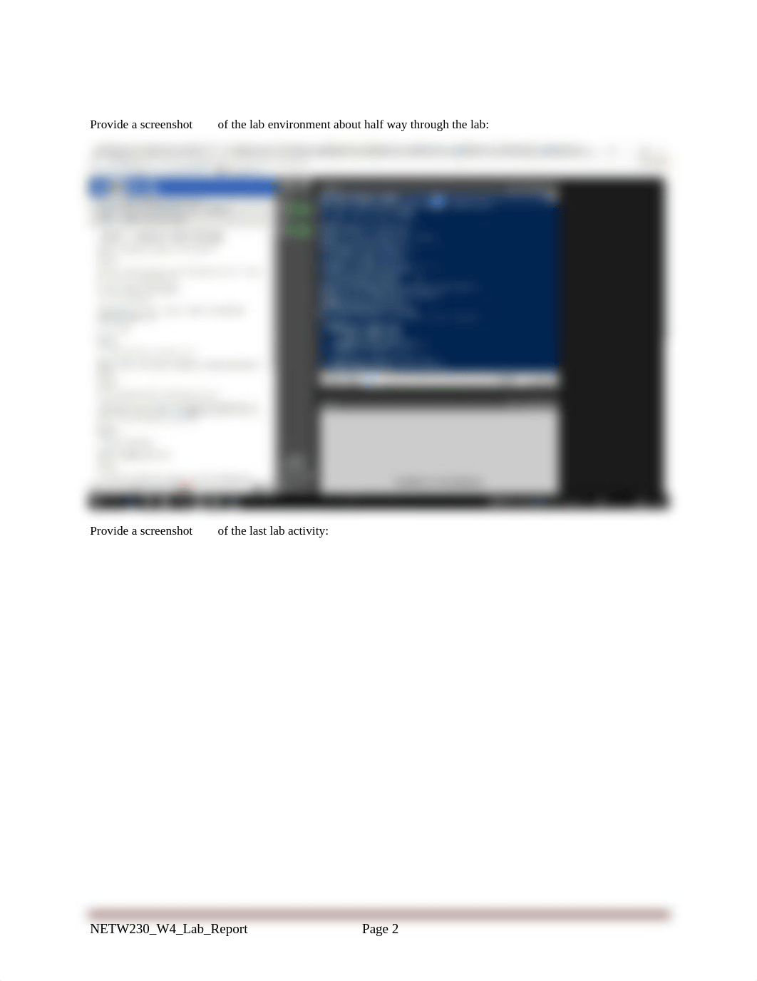 NETW-230 Lab w4_dtzye3ml9zm_page2