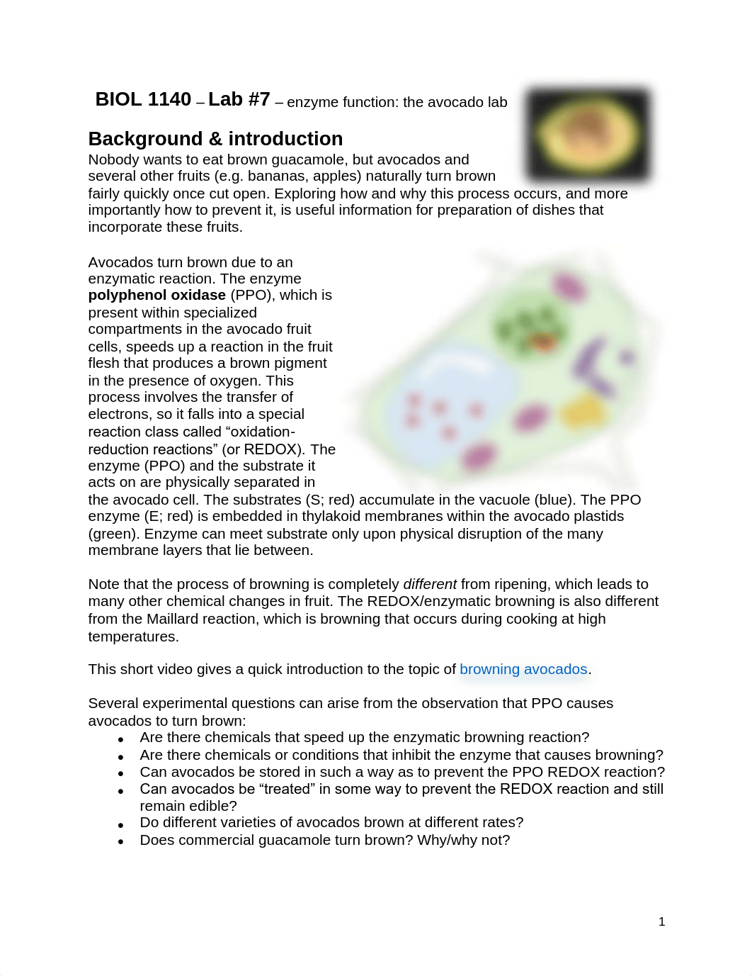 biol1140 lab07enzymes.pdf_dtzzebhde5w_page1