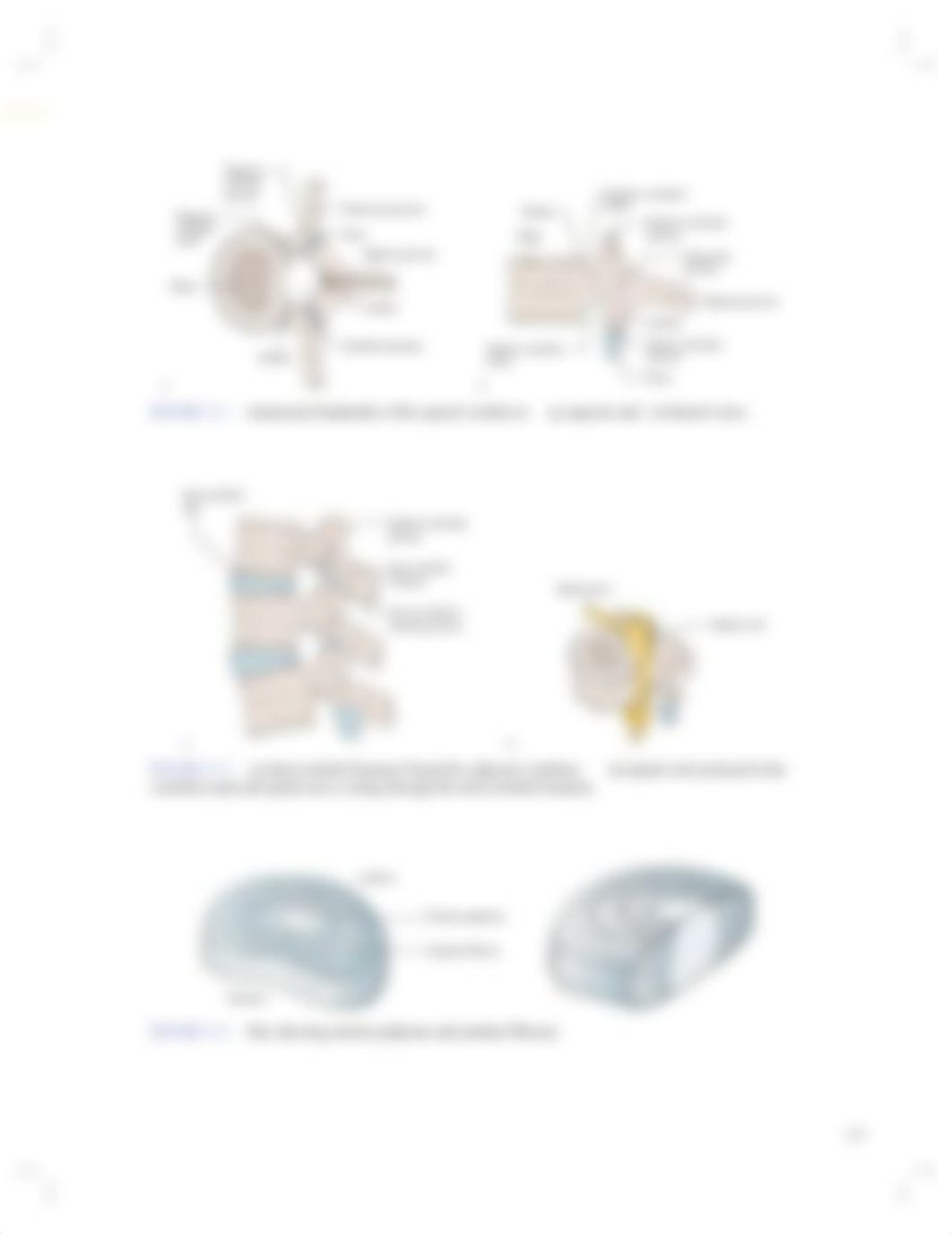 Shultz_Cervical and Thoracic Spine.pdf_du011zscw9u_page3