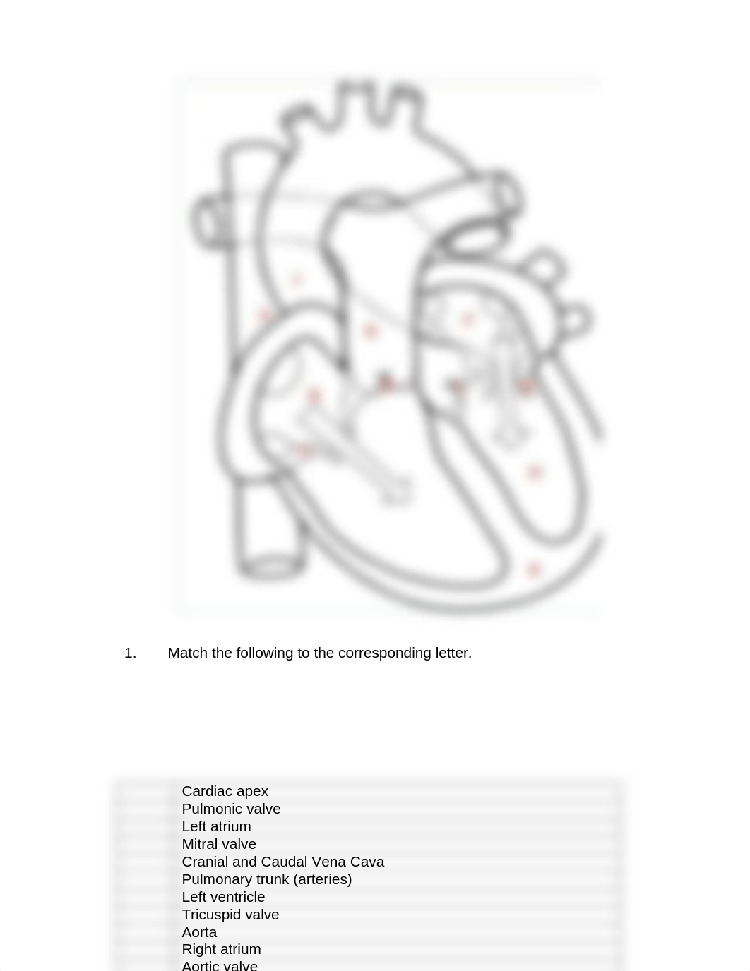 ASSN 5.3 CARDIAC ANATOMY, PHYSIOLOGY AND FUNCTION (1).docx_du074df8w8n_page2