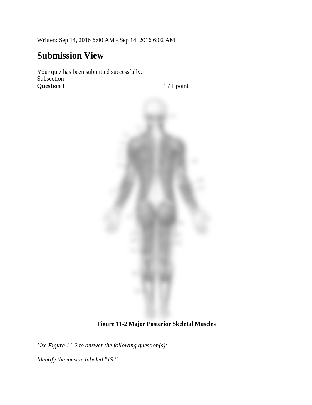 Muscles chapter 11-3_du0d43eber0_page1