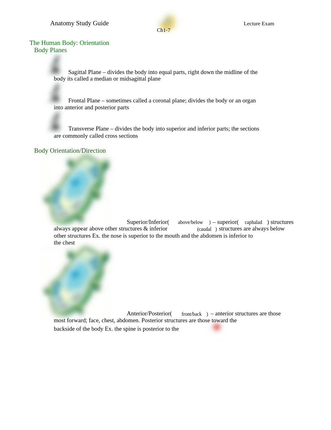 AnatomySG3_du0ehe64ykr_page1