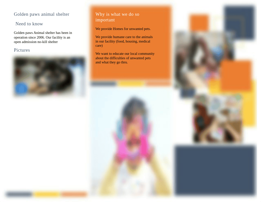 Animal Shelter brochure (2).docx_du0hyqz1k6j_page1