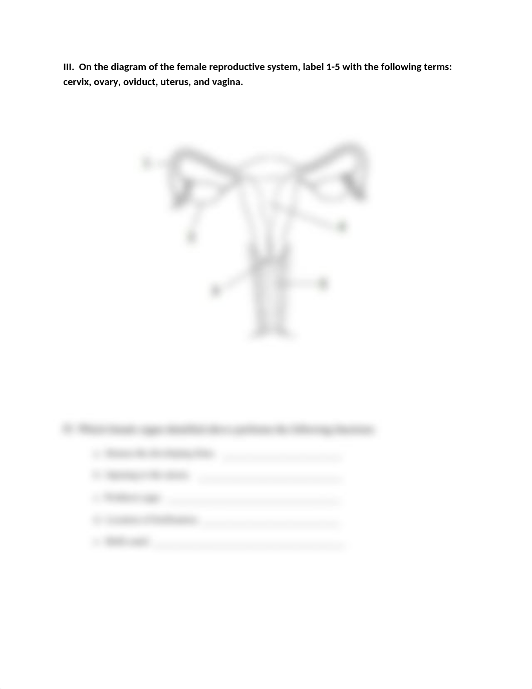 Reproductive System Worksheet.docx%3FglobalNavigation=false.docx_du0jhv89bkw_page2