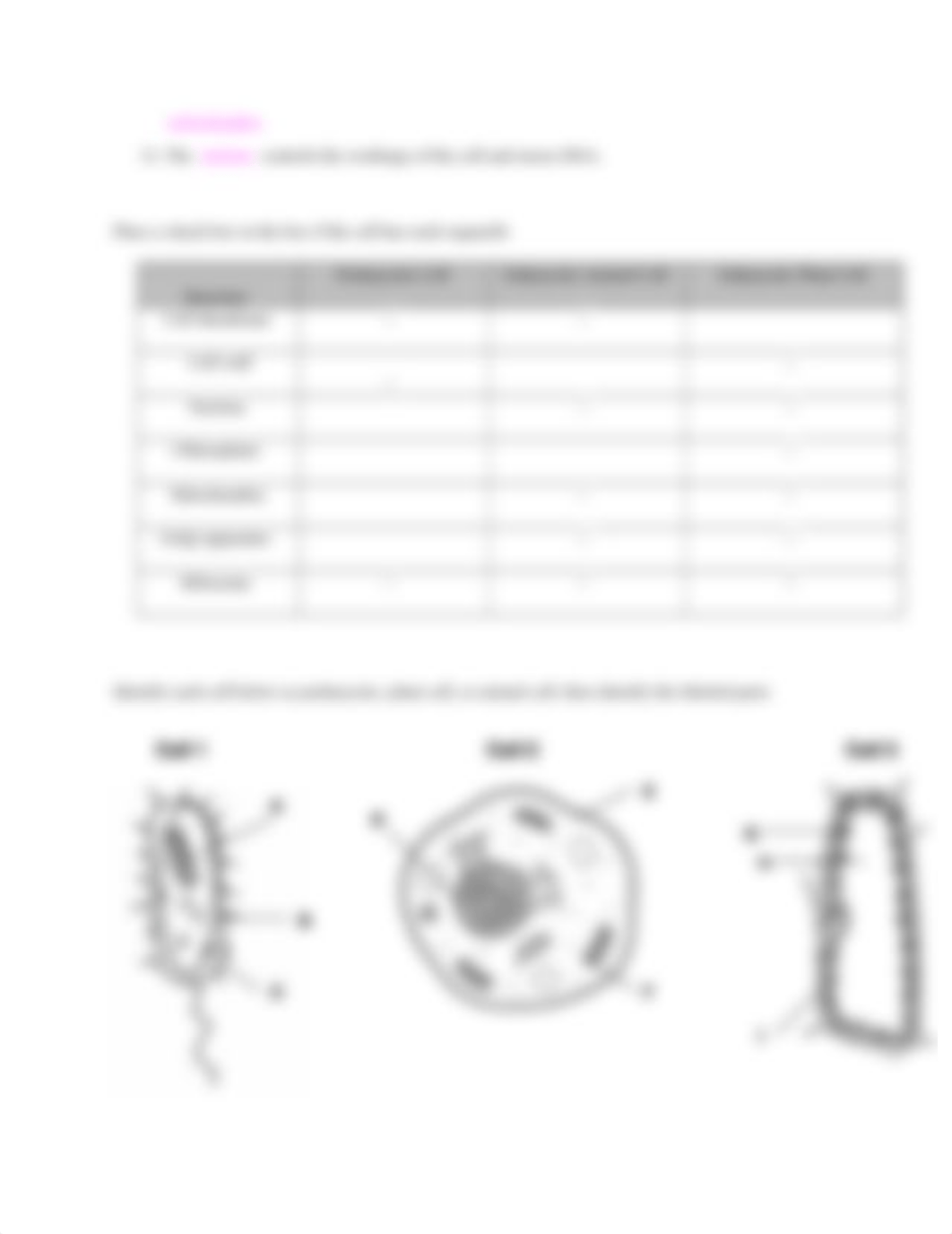 Cell Structure and Function  (STUDENT).docx_du0l4ip8bkz_page3