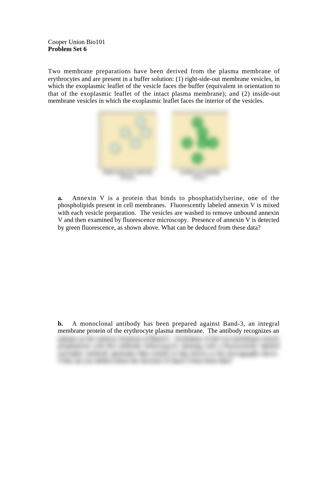 Problem Set 6_du0mlo0zj3c_page1