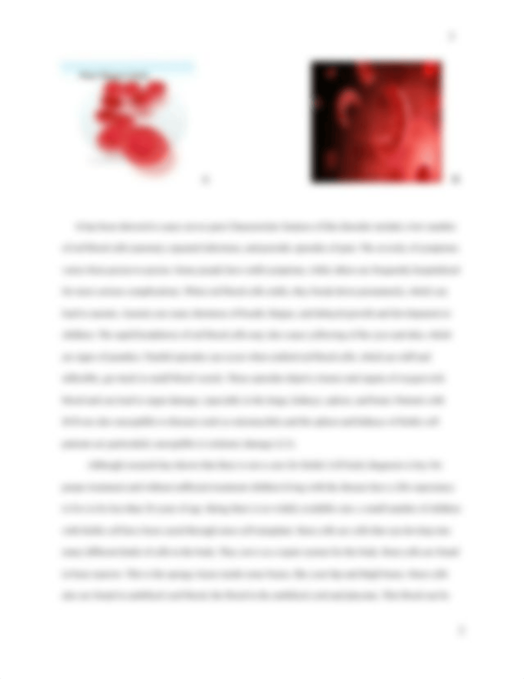 Sickle Cell Anemia essay.docx_du0od76oxb9_page3