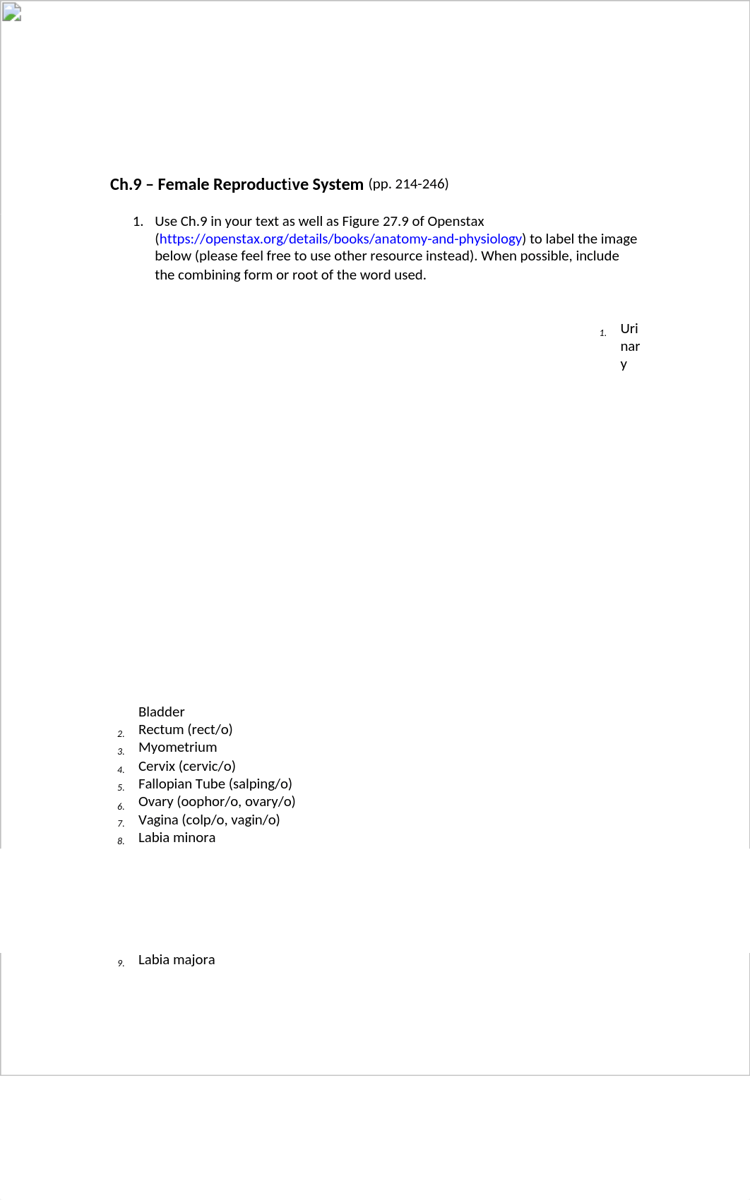 F PCA 9.1 (Female Reproductive System).docx_du0snw3vpq1_page1