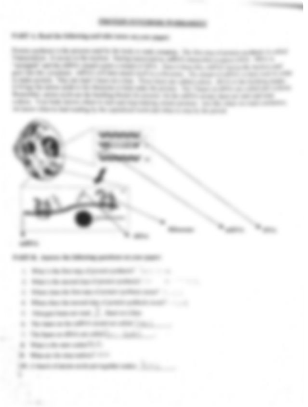 Protein synthesis worksheet_du19s83ogfe_page1