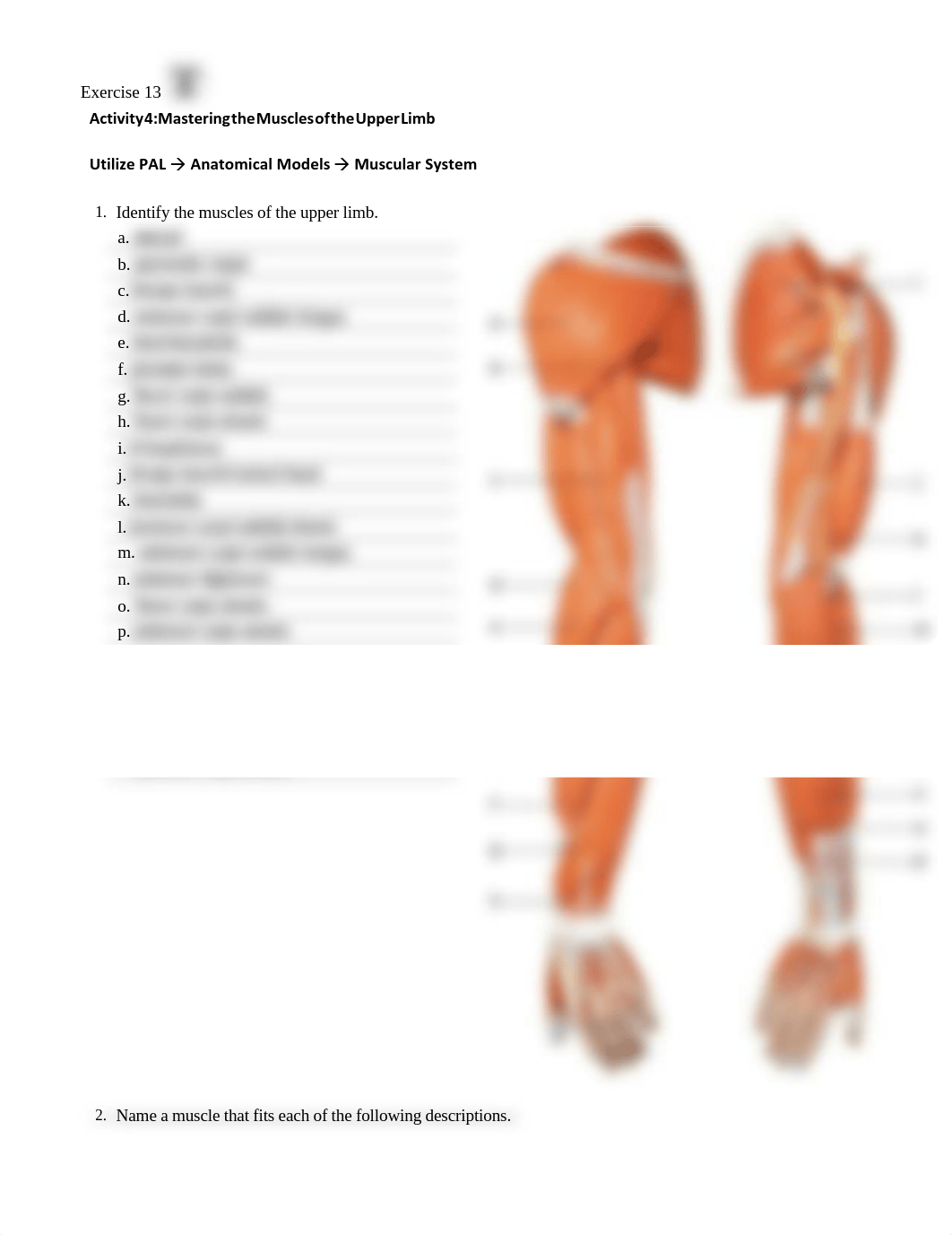 6. Unit 6 laboratory exercise 13 SIMS.pdf_du1c9u8cw9i_page3