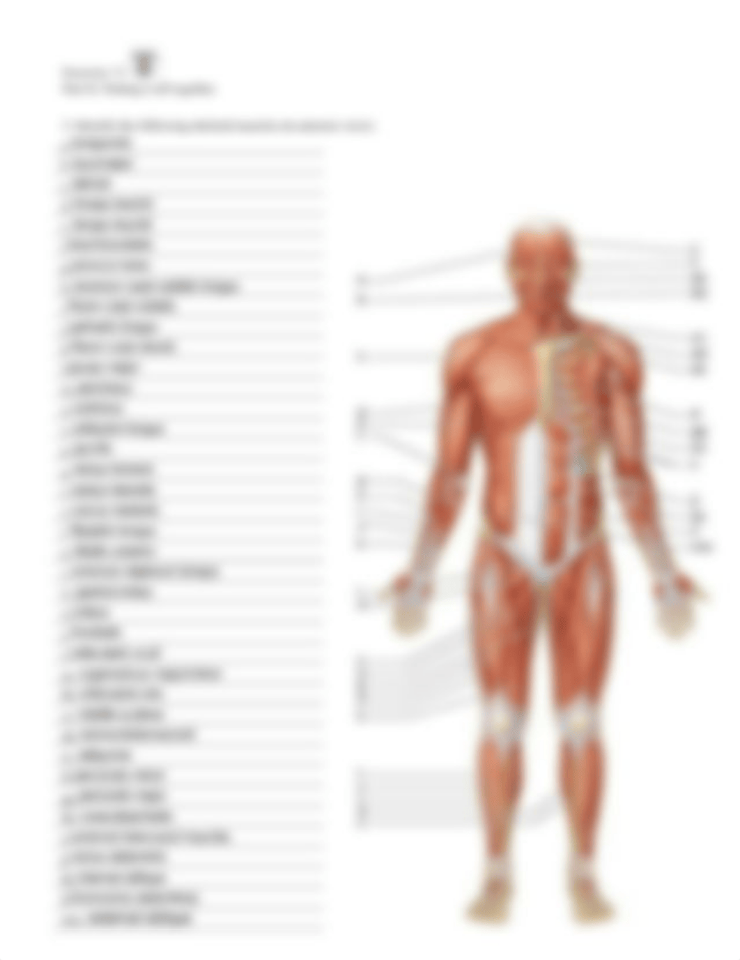 6. Unit 6 laboratory exercise 13 SIMS.pdf_du1c9u8cw9i_page5