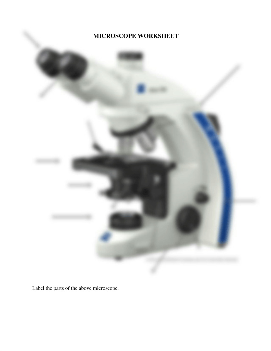 Microscope labeling worksheet.docx_du1f2f85qjd_page1