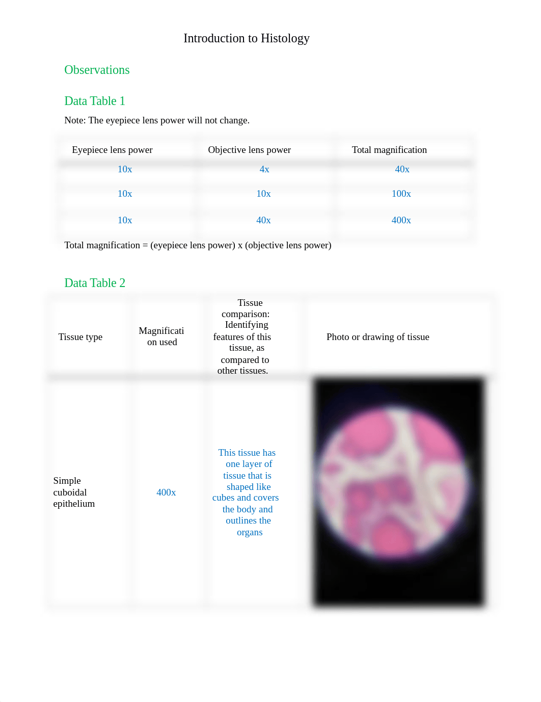 BIO201 Introduction to Histology_AnswerSheet.docx_du1jwa4qpkz_page1