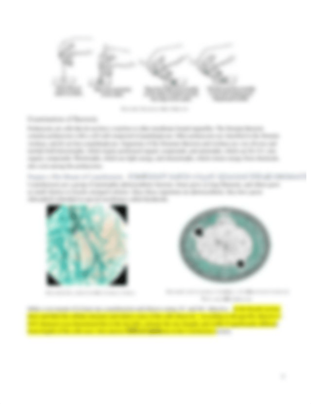 Lab 08 Cell Structure_used 2.pdf_du1mimpggdr_page3