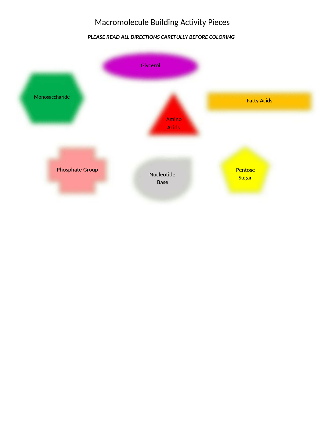 Building_Macromolecules_Activity_Answer_Sheet (1).docx_du1mymzh1m2_page1