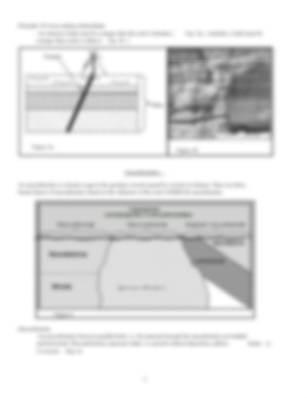 Lab 12 Geochronology (1).docx_du234i8vnot_page3