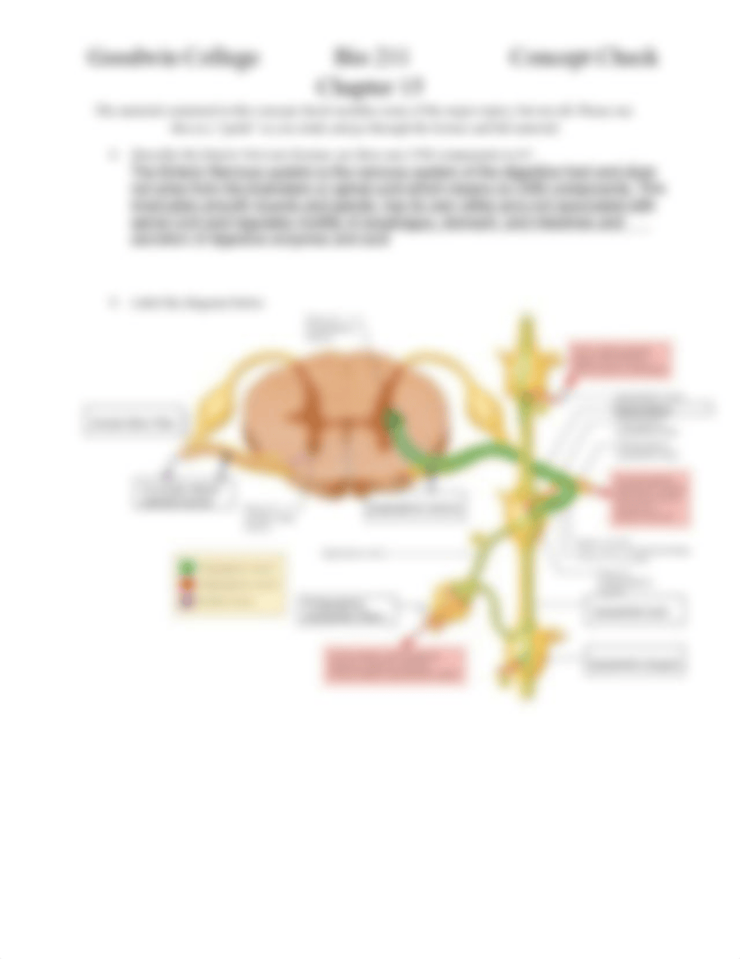 Chapter 15 Concept Check BIO211(1).pdf_du25o93bv6d_page2