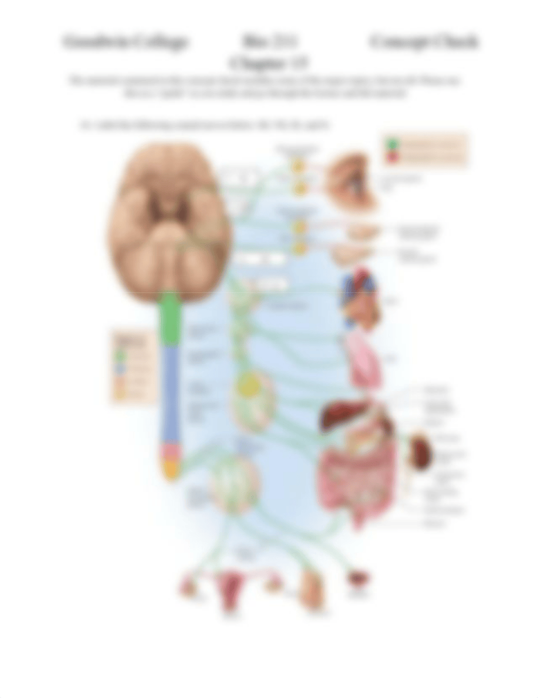 Chapter 15 Concept Check BIO211(1).pdf_du25o93bv6d_page3