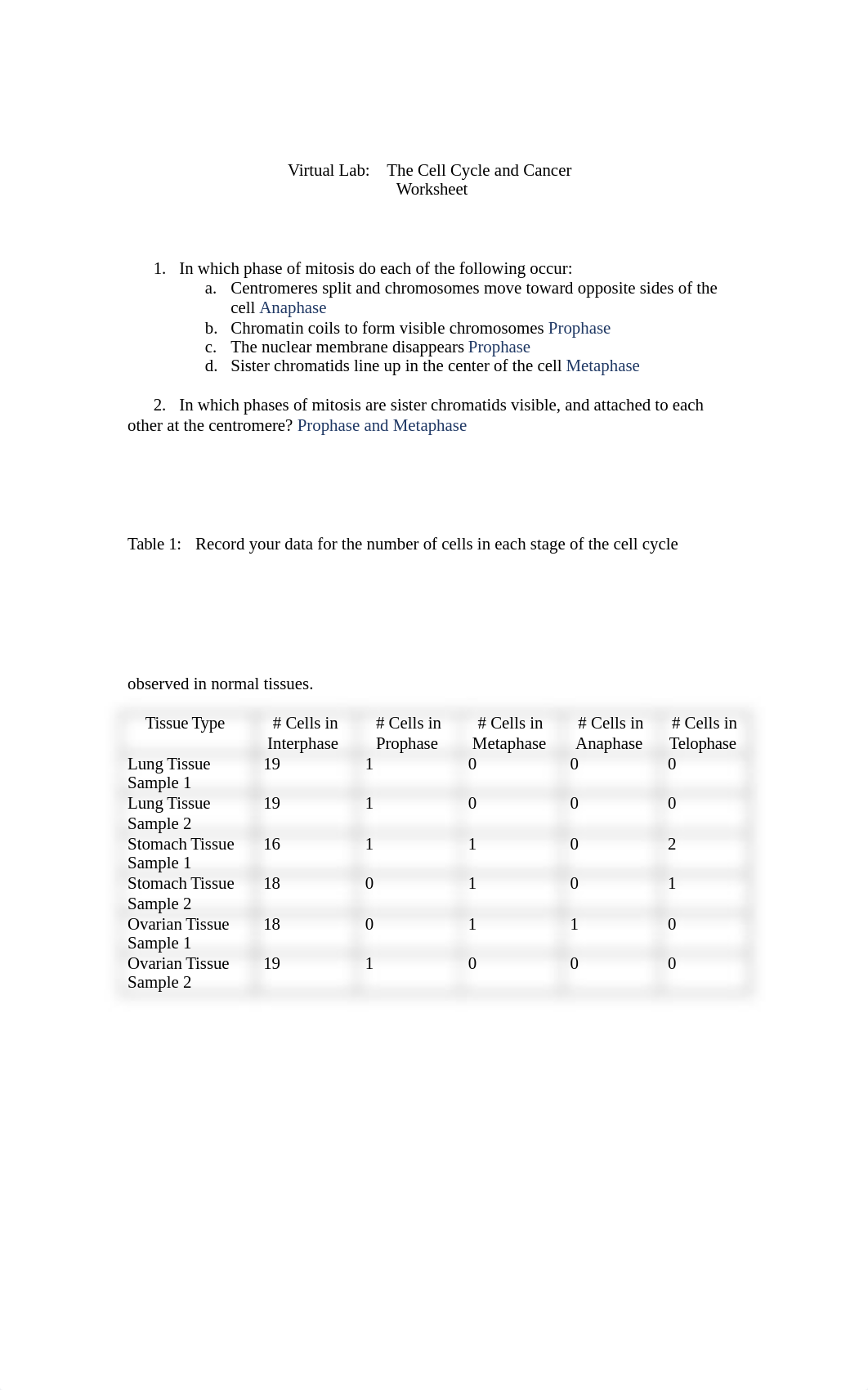 The Cell Cycle and Cancer Worksheet.doc_du2bx5i1nsu_page1