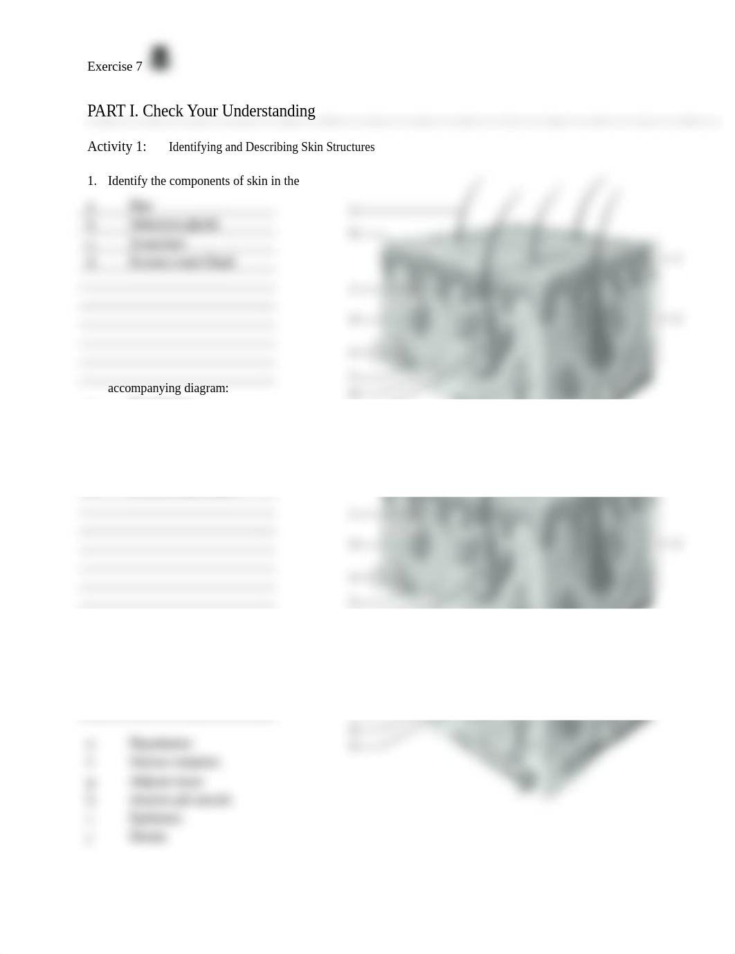 4. Unit 4 laboratory exercise 7.docx_du2fsiqrryt_page1