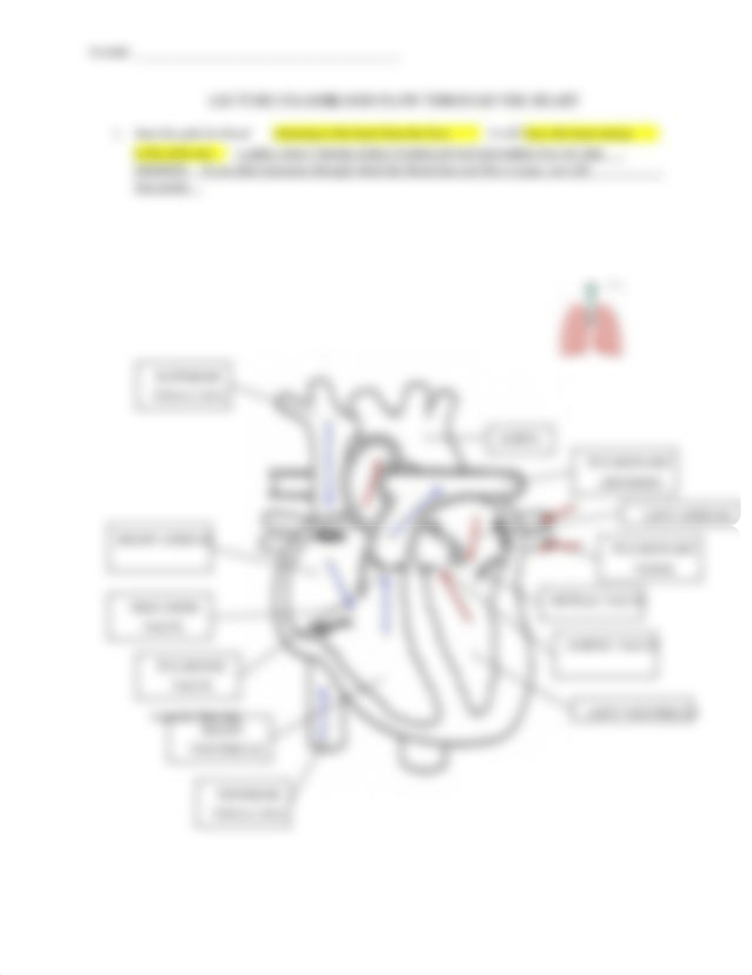 Exam_1_Blood_flow_with_arrows.doc_du2hnd6m967_page2