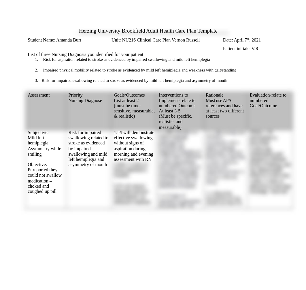 NU216 Care Plan 3.docx_du2krwyzi42_page1