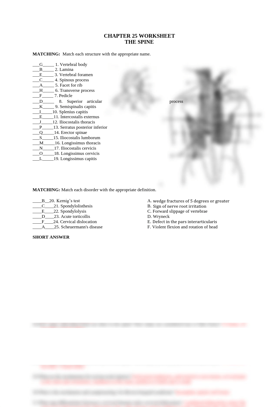 Spine worksheet.pdf_du2l8wfufwf_page1