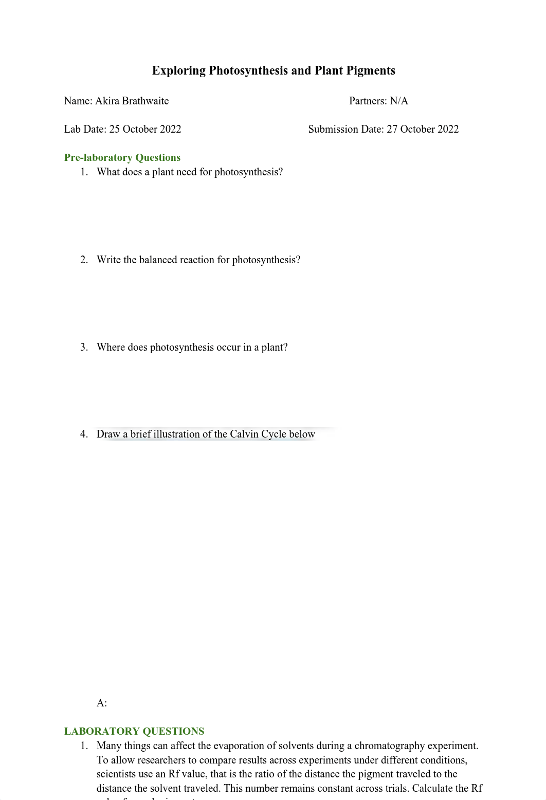 Lab Exercise #11.pdf_du2lbri0xb1_page1