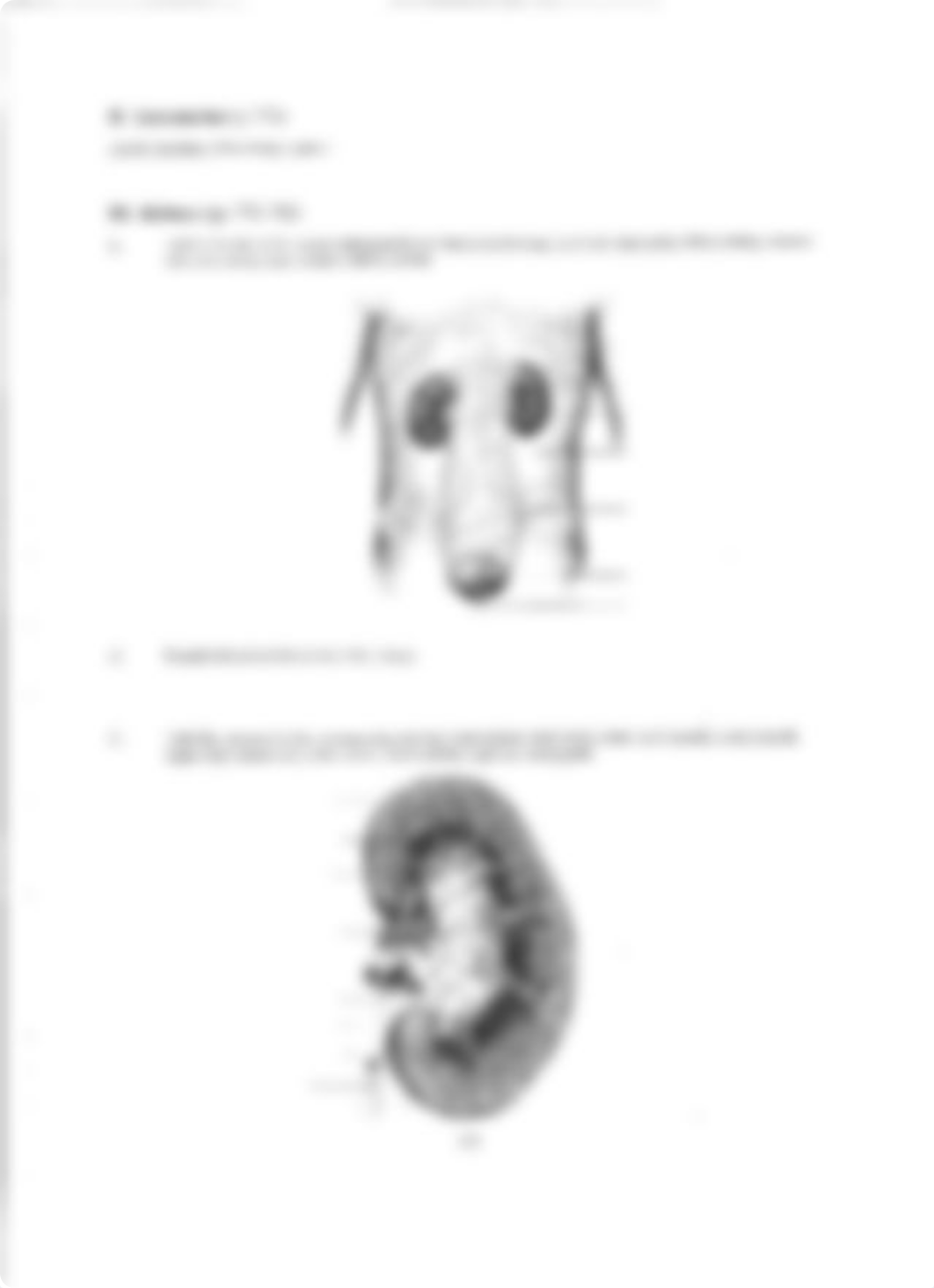 Urinary System_du2q2exo27f_page5