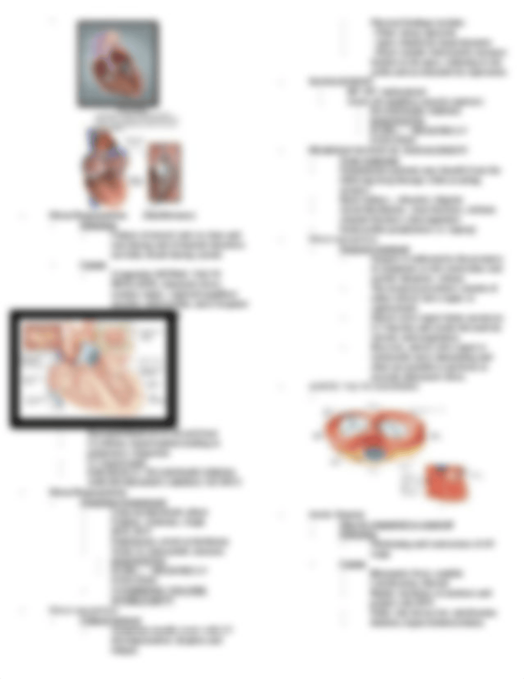 Alteration in Perfusion Valvular Disease.docx_du2sak9e1pd_page3