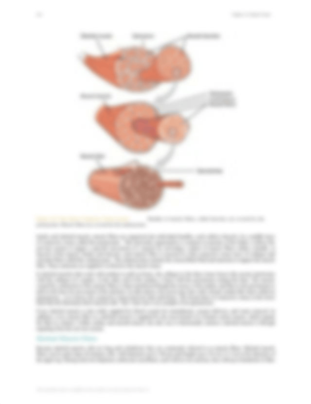 Chapter 10.pdf_du2vhvm5vic_page4