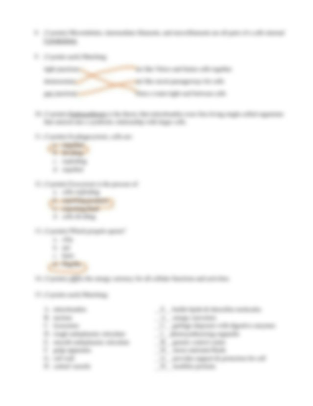 Test #2.docx_du2zql8i53y_page2