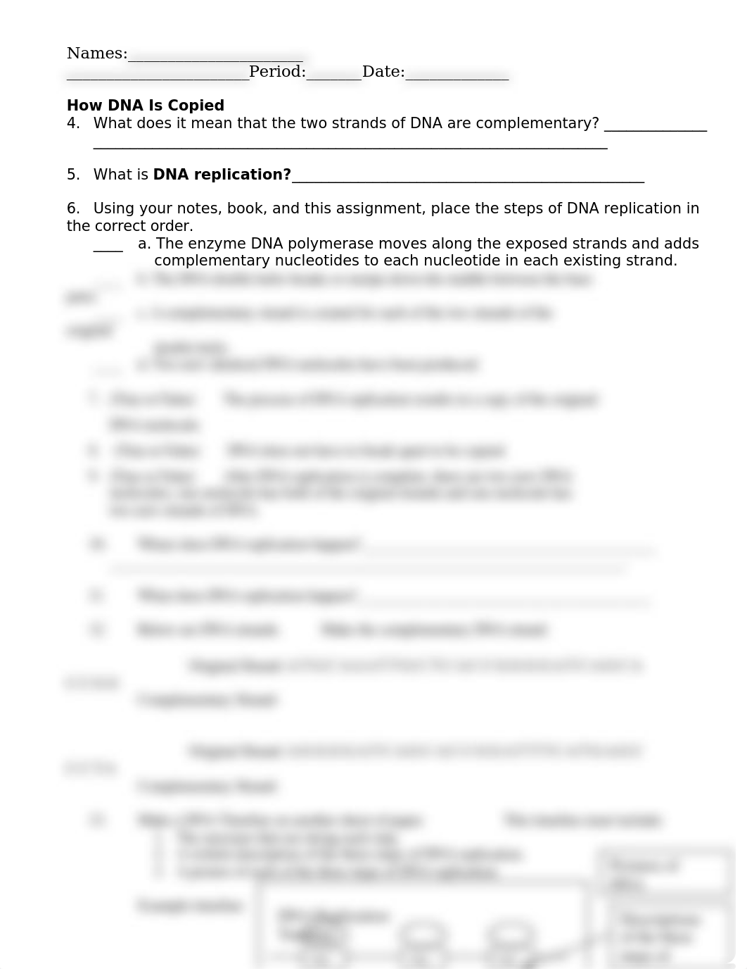 DNA Replication Worksheet.docx_du35v6tdv5x_page2