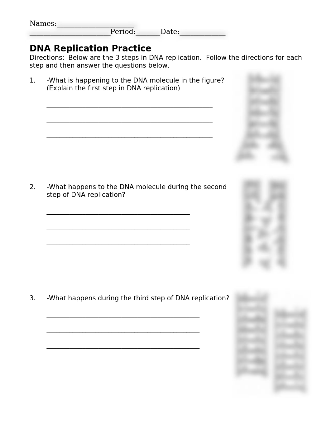 DNA Replication Worksheet.docx_du35v6tdv5x_page1