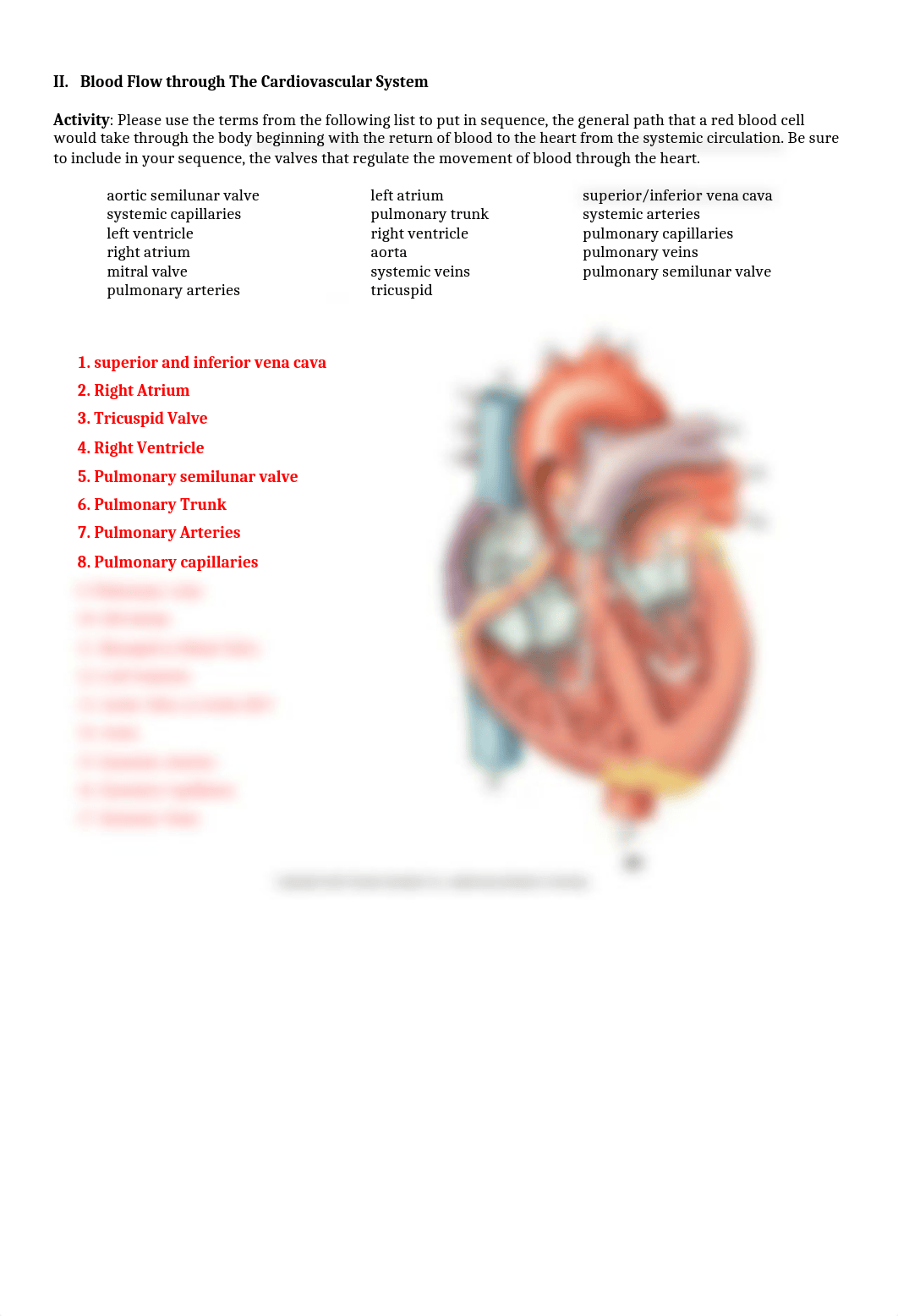 Lab 3  Gross Anatomy of the Heart Answers.docx_du3705upwst_page2