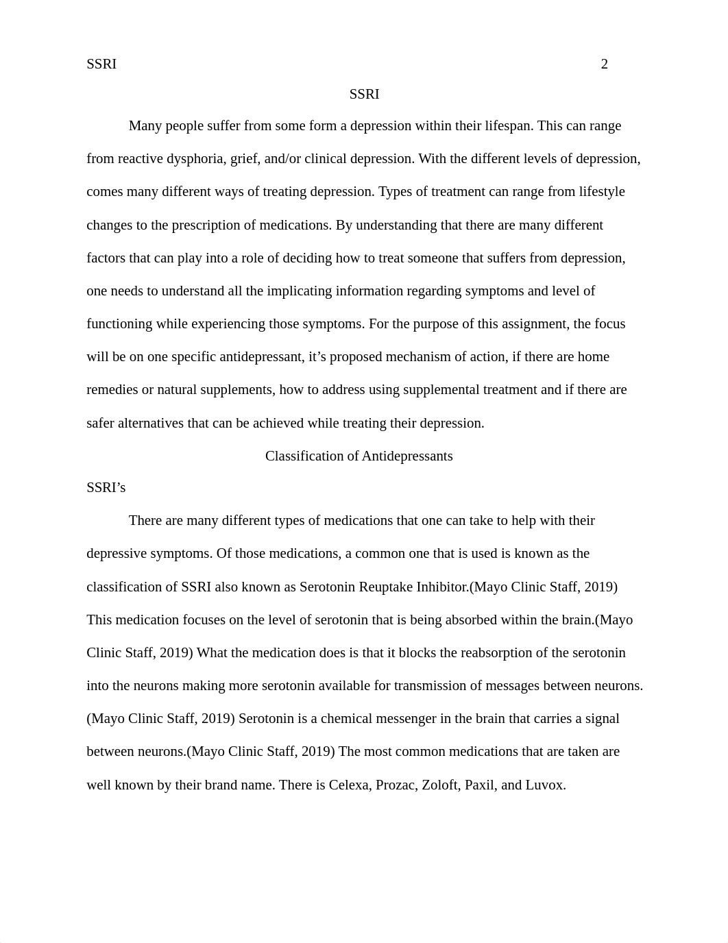 SSRI's Report.docx_du377pf8ldj_page2