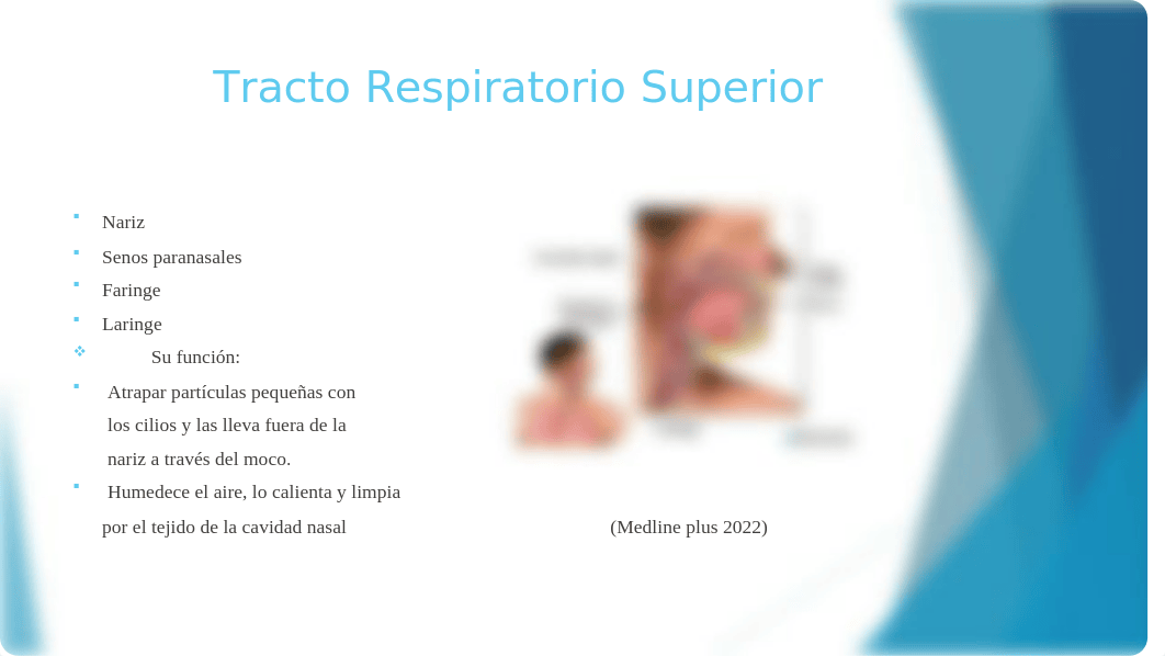 Tarea 6.2 clase 6010 Mierta Torres.pptx_du37j6qlaio_page5