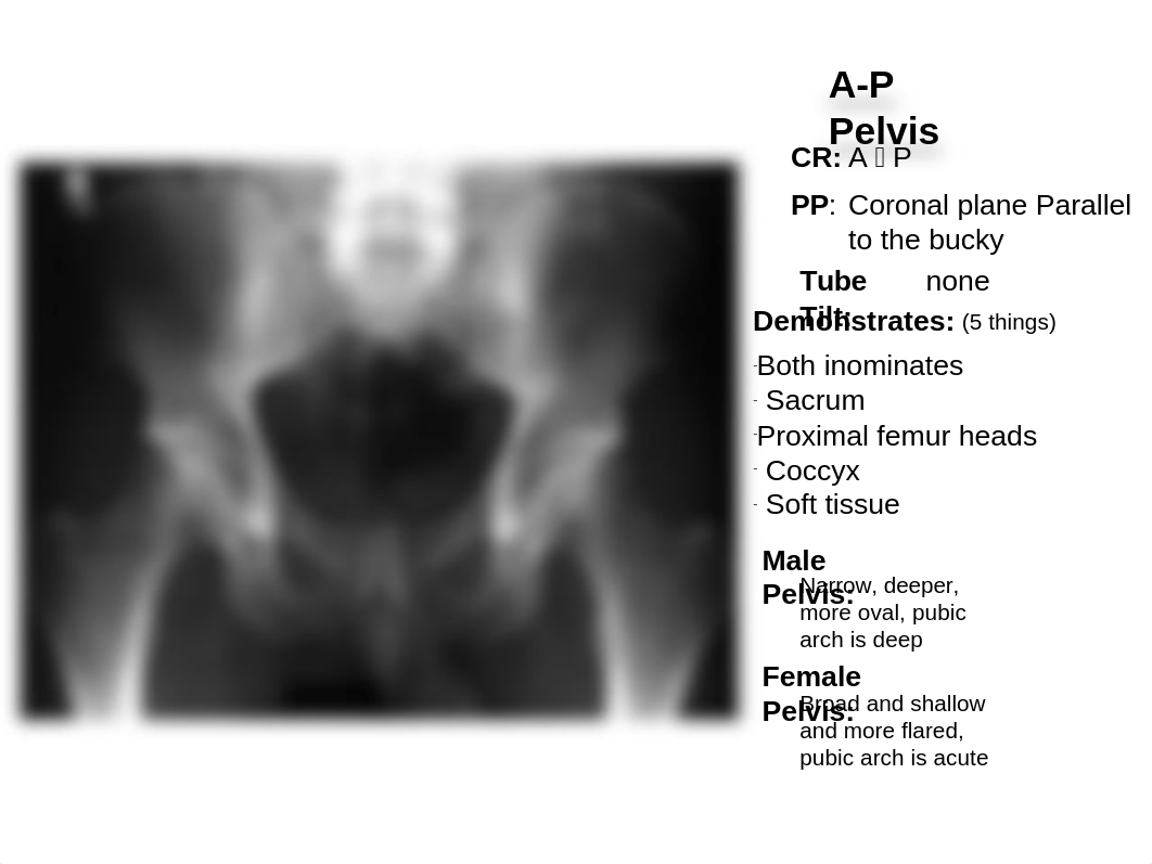 RADD 1611 A-P Pelvis_du3dwmtfsi0_page1