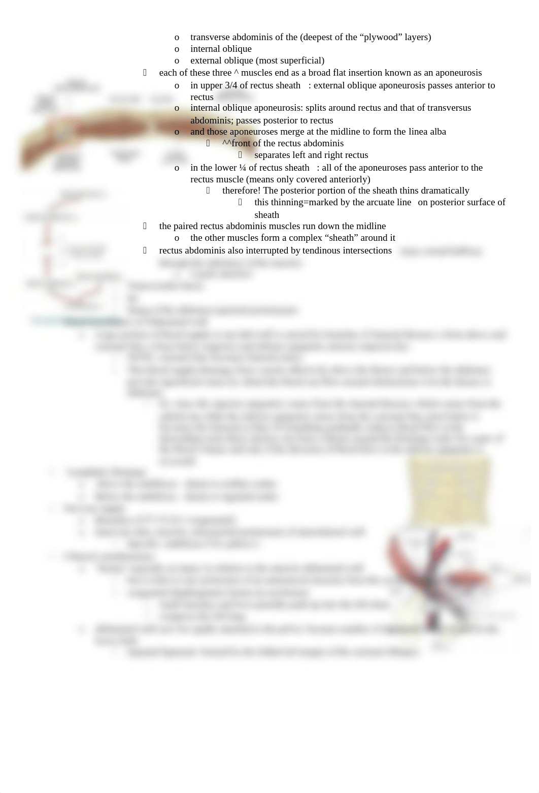 Abdomen and Pelvis Notes (1)_du3gpach0bt_page2