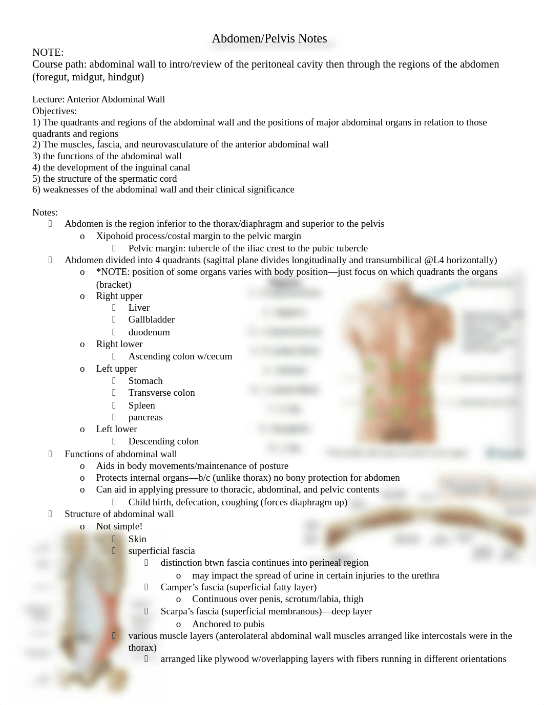 Abdomen and Pelvis Notes (1)_du3gpach0bt_page1